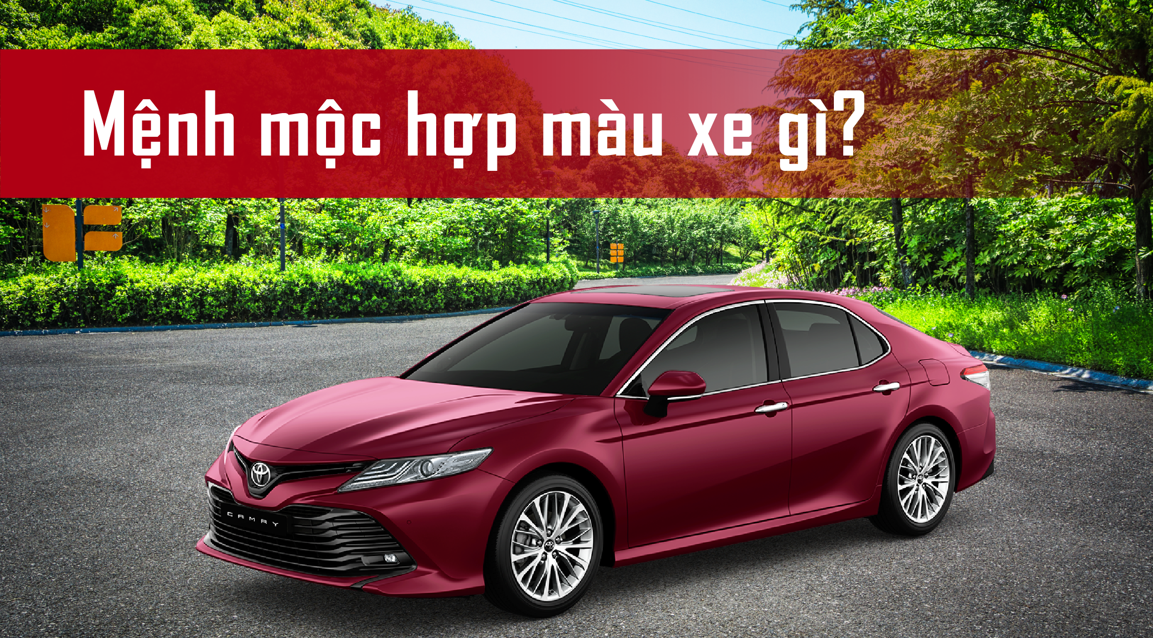 Mệnh mộc hợp màu xe gì?