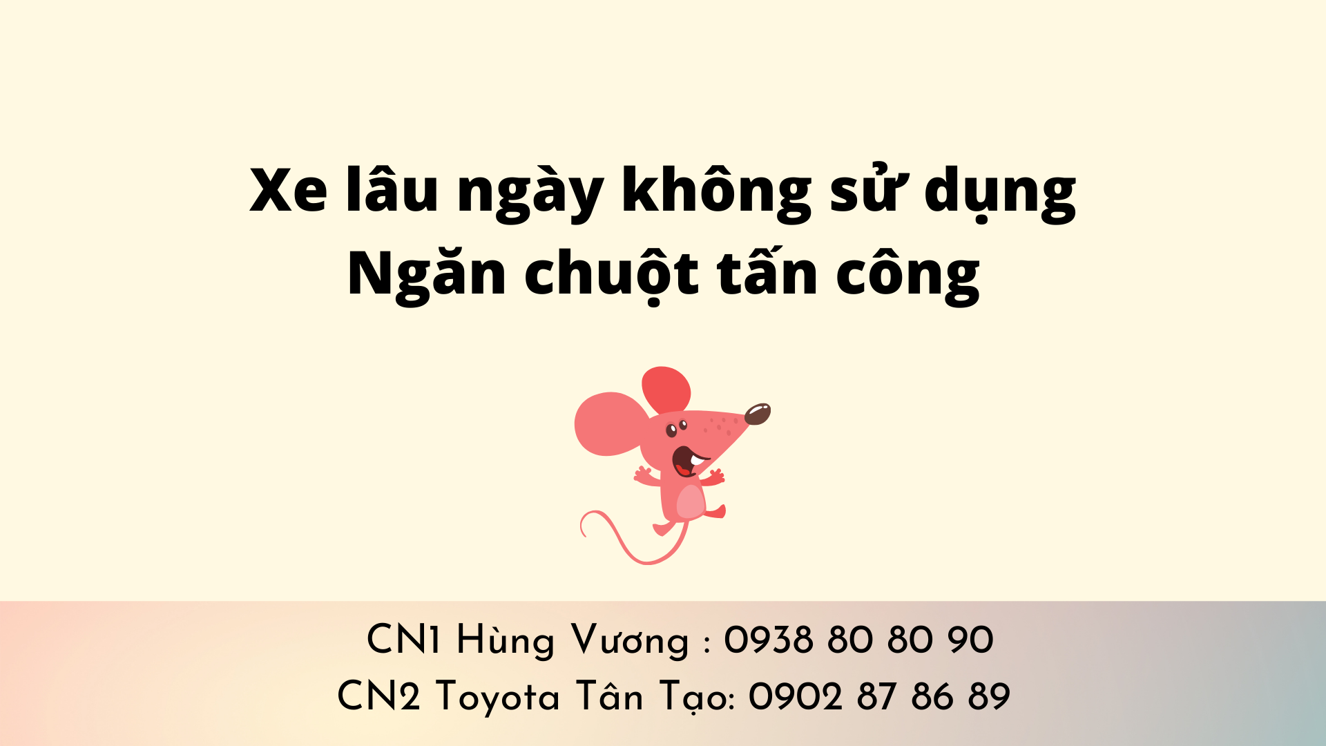 Cách chống chuột phá ô tô vào mùa dịch