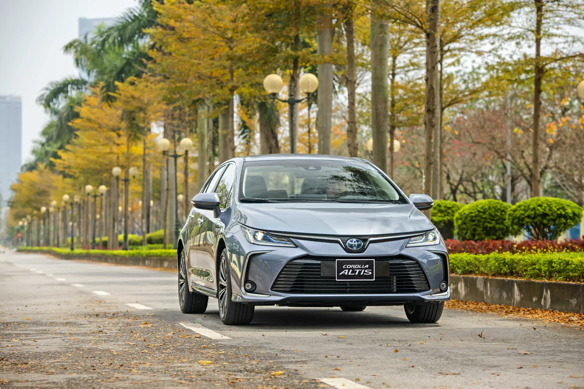 TOYOTA ALTIS Sedan tiền trăm, giá trị tiền tỷ